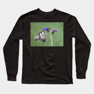 Tiger Swallowtail Butterfly on Lungwort flower Long Sleeve T-Shirt